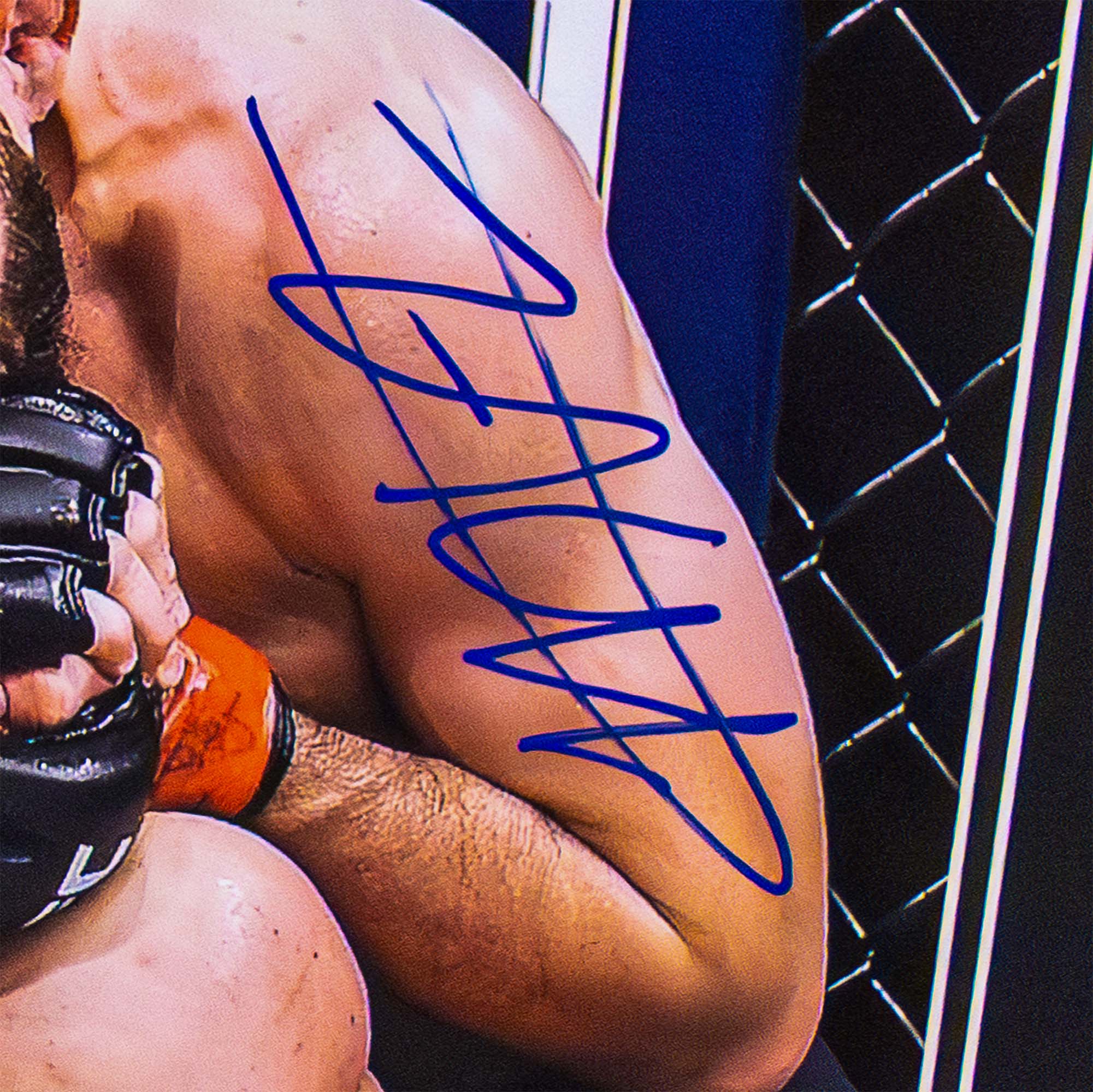 Khabib Nurmagomedov Signed Framed UFC Submission Photograph